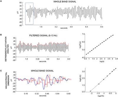 Circadian Rhythms in Fractal Features of EEG Signals